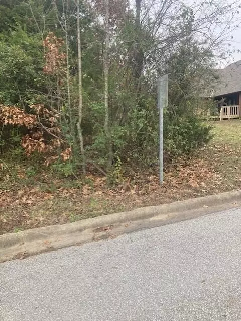 181 Cedarwood Ave, Branson, MO 65616 photo 9