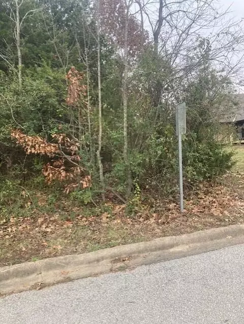 181 Cedarwood Ave, Branson, MO 65616 photo 6