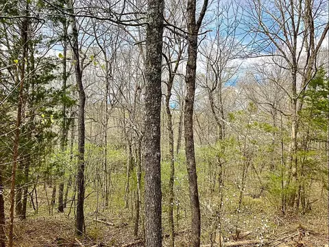 337 Hillcrest Rd, Mammoth Spring, AR 72554 photo 38