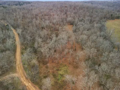 tbd County Road 219, Thayer, MO 65791