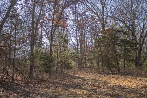 81 Shewanano, Marshfield, MO 65706 photo 27