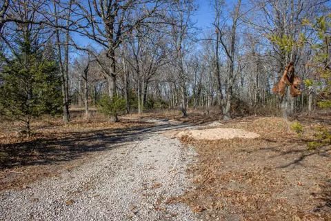 81 Shewanano, Marshfield, MO 65706 photo 20