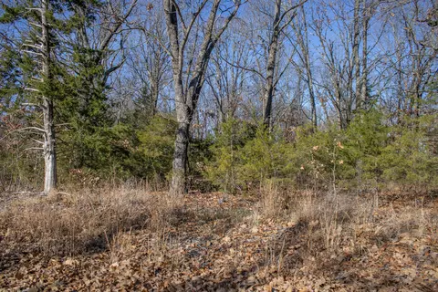 81 Shewanano, Marshfield, MO 65706 photo 35