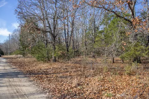 81 Shewanano, Marshfield, MO 65706 photo 19