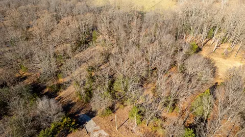 81 Shewanano, Marshfield, MO 65706 photo 5
