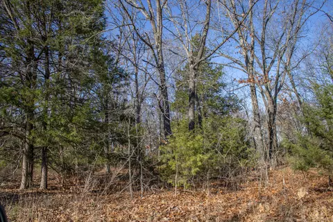 81 Shewanano, Marshfield, MO 65706 photo 34