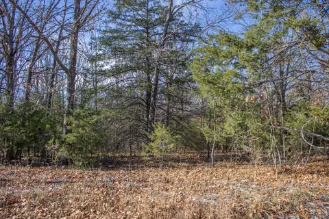 81 Shewanano, Marshfield, MO 65706 photo 37