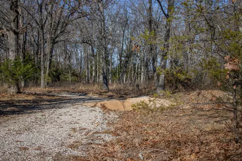 81 Shewanano, Marshfield, MO 65706 photo 30