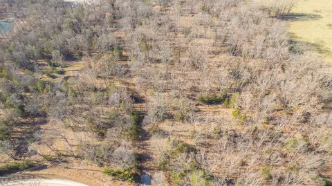 81 Shewanano, Marshfield, MO 65706 photo 11