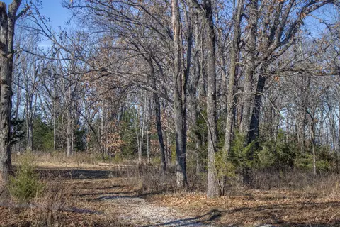 81 Shewanano, Marshfield, MO 65706 photo 29