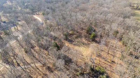 81 Shewanano, Marshfield, MO 65706 photo 10