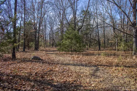 81 Shewanano, Marshfield, MO 65706 photo 21