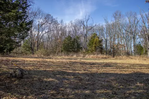 81 Shewanano, Marshfield, MO 65706 photo 23