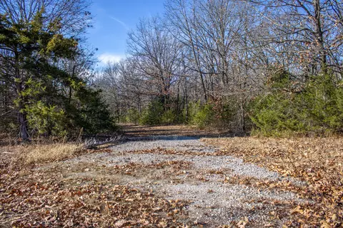 81 Shewanano, Marshfield, MO 65706 photo 17