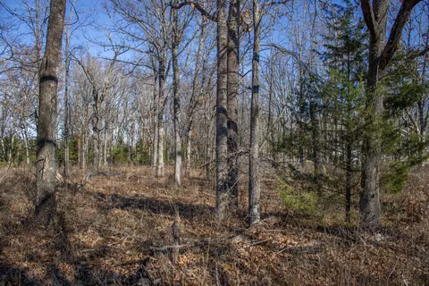 81 Shewanano, Marshfield, MO 65706 photo 26