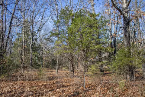 81 Shewanano, Marshfield, MO 65706 photo 32