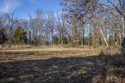 81 Shewanano, Marshfield, MO 65706 photo 24