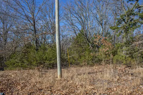 81 Shewanano, Marshfield, MO 65706 photo 39