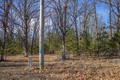 81 Shewanano, Marshfield, MO 65706 photo 38
