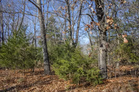 81 Shewanano, Marshfield, MO 65706 photo 33