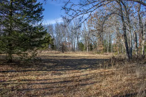 81 Shewanano, Marshfield, MO 65706 photo 22