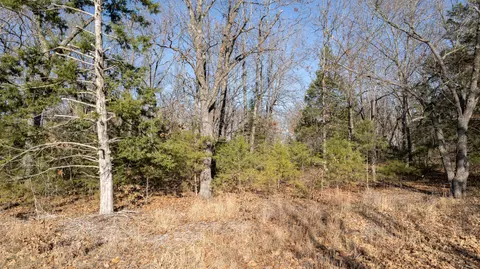 81 Shewanano, Marshfield, MO 65706 photo 16