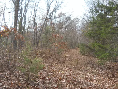 lot3 Will Rd, Lampe, MO 65681 photo 2