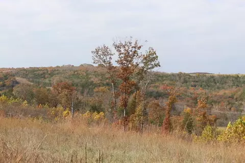 tbd County Road 831, Gainesville, MO 65655 photo 18