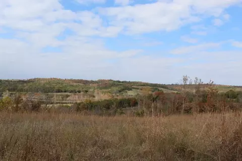 tbd County Road 831, Gainesville, MO 65655 photo 15