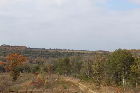 tbd County Road 831, Gainesville, MO 65655 photo 14