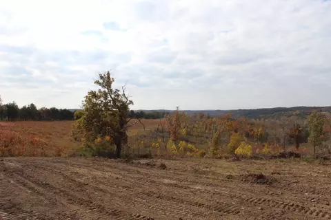 tbd County Road 831, Gainesville, MO 65655 photo 12