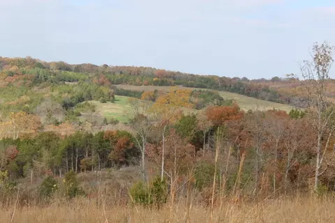 tbd County Road 831, Gainesville, MO 65655 photo 16