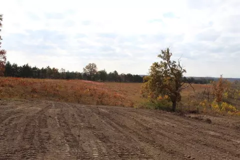 tbd County Road 831, Gainesville, MO 65655 photo 11