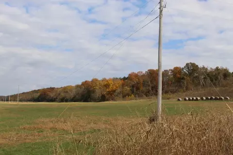 tbd County Road 831, Gainesville, MO 65655 photo 33