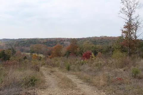 tbd County Road 831, Gainesville, MO 65655 photo 6