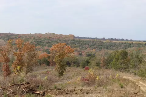 tbd County Road 831, Gainesville, MO 65655 photo 8