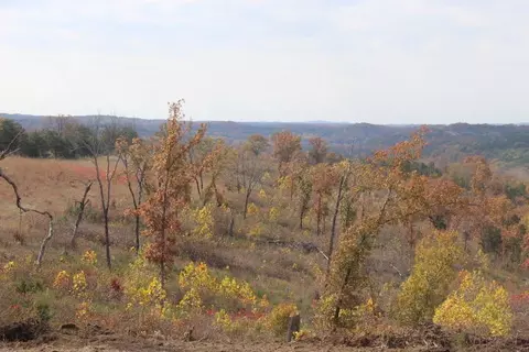 tbd County Road 831, Gainesville, MO 65655 photo 10