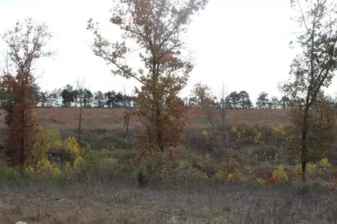 tbd County Road 831, Gainesville, MO 65655 photo 7