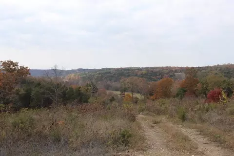 tbd County Road 831, Gainesville, MO 65655 photo 5