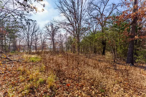 001 Boulder Dr, Lampe, MO 65681 photo 7