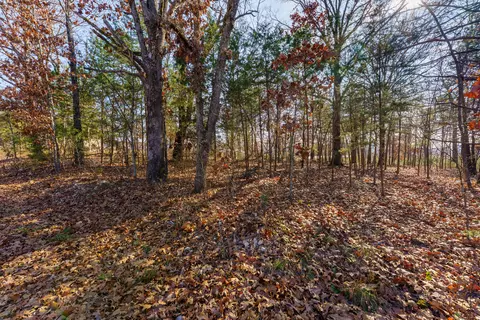 001 Boulder Dr, Lampe, MO 65681 photo 8