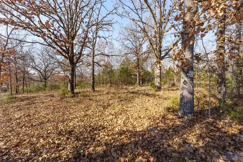 001 Boulder Dr, Lampe, MO 65681 photo 5