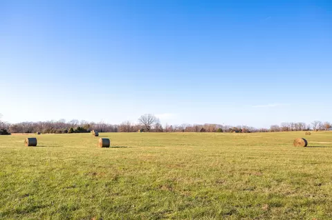 tbd 113 Acres County Road 433, Oak Grove, AR 72660