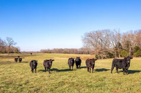 tbd 24132 Acres County Road 433, Oak Grove, AR 72660