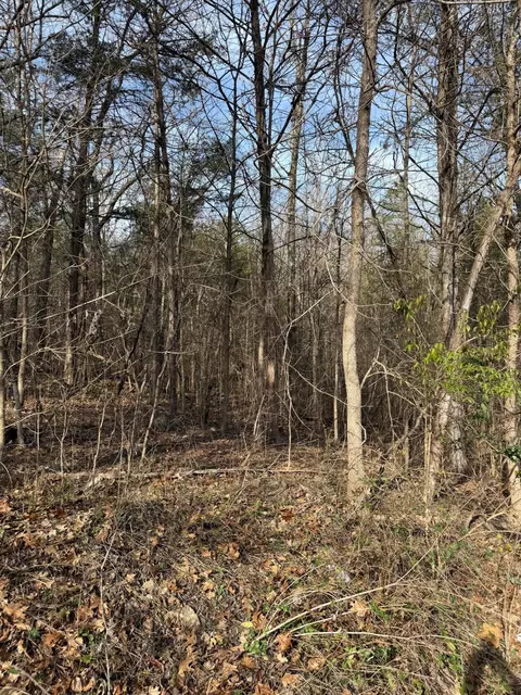000 Bluff Rd, Merriam Woods, MO 65740