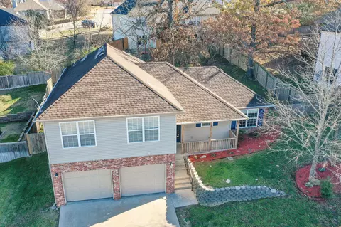 View/Area - 153 Sapling Dr, Branson, MO 65616 photo 1 of 5