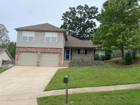 Exterior - 153 Sapling Dr, Branson, MO 65616 photo 2 of 10