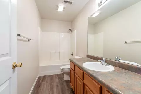 Bath - 153 Sapling Dr, Branson, MO 65616 photo 3 of 3