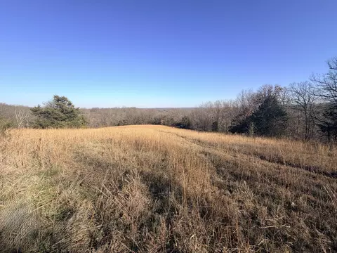 20 2 Hobbs Rd, Noel, MO 64854 photo 16