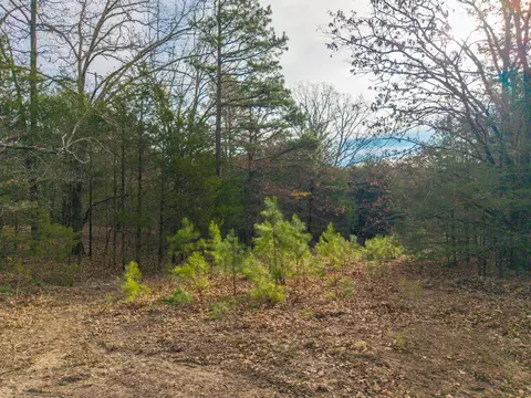 001 Highway Ac, Drury, MO 65638 photo 8